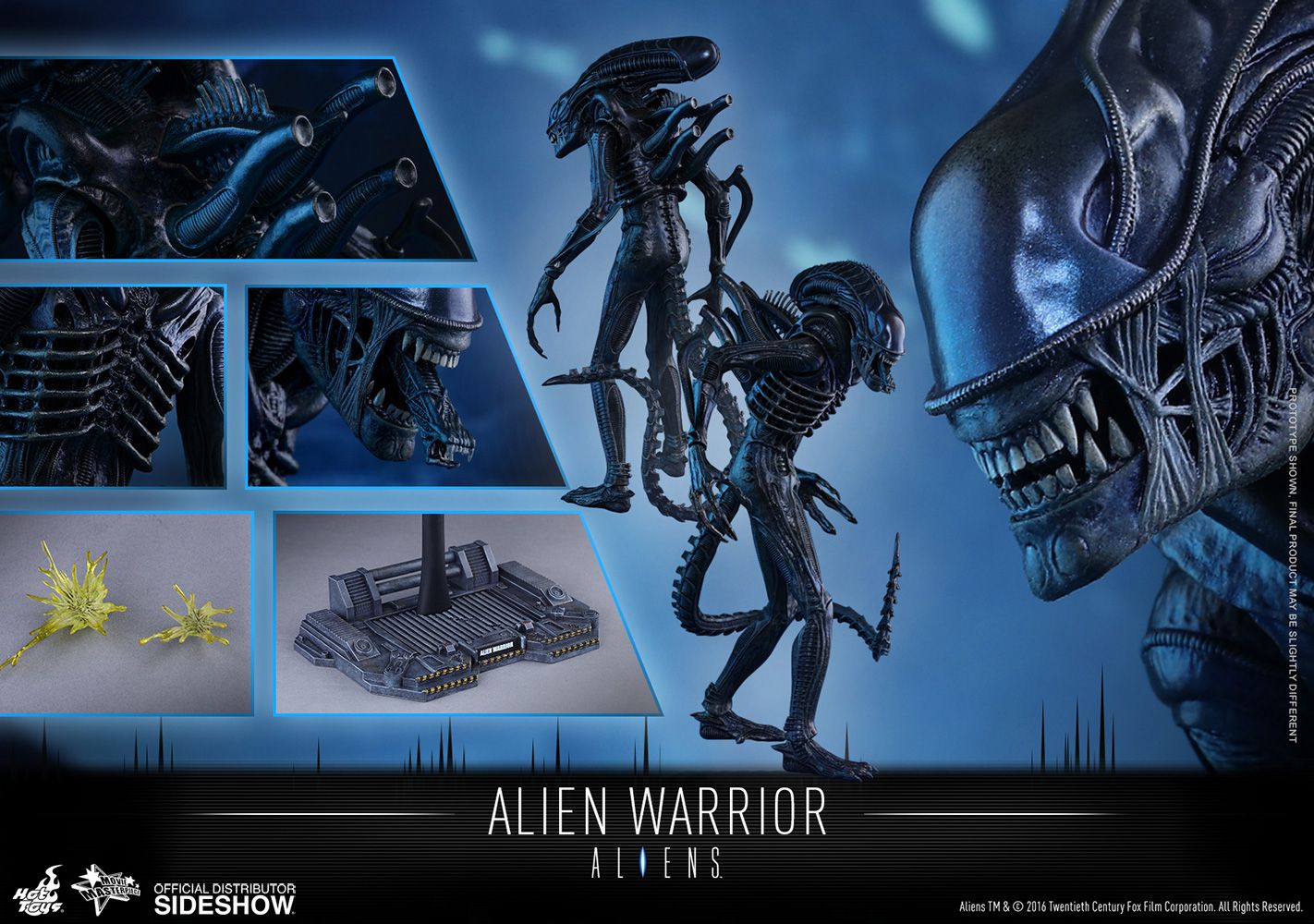 Alien Warrior Sixth Scale Figure by Hot Toys